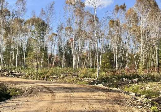 Land for sale -  Vieille route 11, Lac-Saguay, J0W1L0