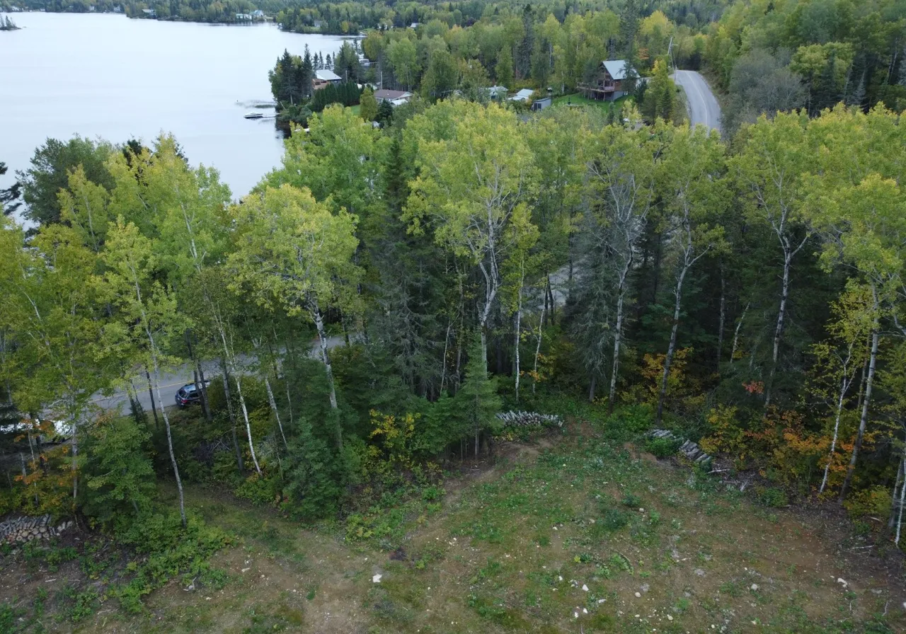 Land for Sale -  Ch. du Lac-Goth, Saint-Félix-d'Otis, G0V 1M0