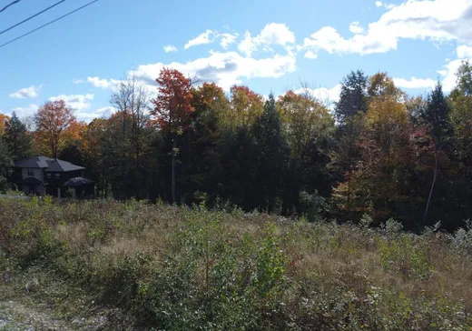 Terrain à vendre -  Rue Kennan-Jenckes, Sherbrooke, J1M 0A5