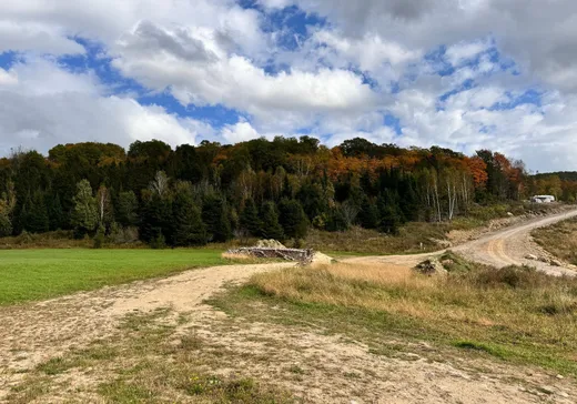 Terrain à vendre -  Ch. Germain, Mont-Laurier, J0W 1J0