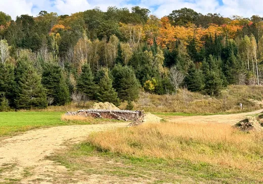Terrain à vendre -  Ch. Germain, Mont-Laurier, J0W 1J0