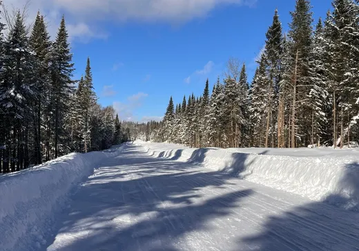 Terrain à vendre - 1733 Ch. du Lac-Amico, Ste-Lucie, J0T 2J0