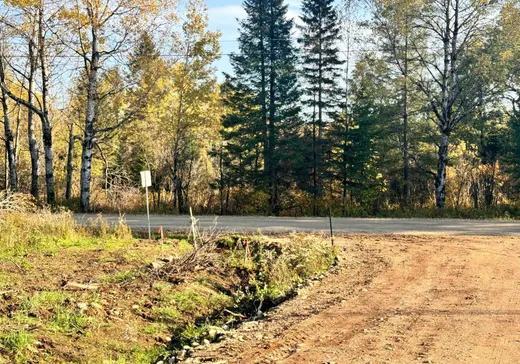 Land for sale -  Vieille route 11, Lac-Saguay, J0W1L0