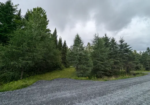 Land for sale -  Ch. des Hauts-Cantons, Stratford, G0Y1P0