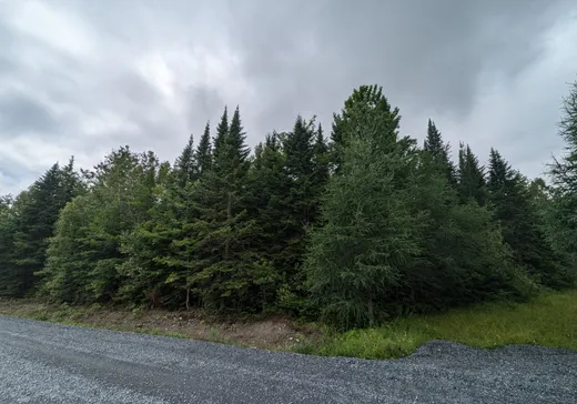 Land for Sale -  Ch. des Hauts-Cantons, Stratford, G0Y 1P0