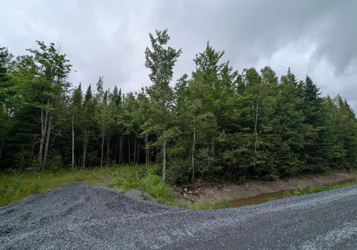Land for Sale -  Ch. des Hauts-Cantons, Stratford, G0Y 1P0