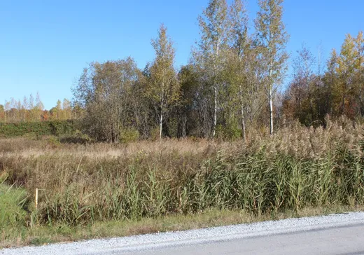 Terrain à vendre -  Rue des Grandes-Prairies, Valcourt, J0E 2L0