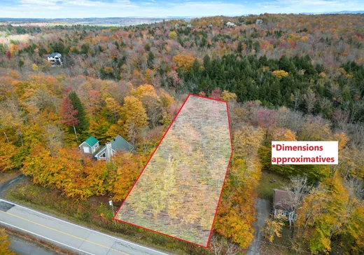 Terrain à vendre -  Rue de la Grande-Coulée, Magog, J1X6Z6