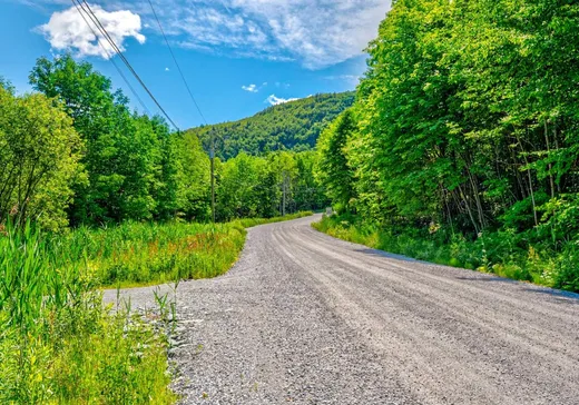 Terrain à vendre -  Rue Jeanson, Eastman, J0E1P0