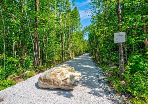 Terrain à vendre -  Rue Jeanson, Eastman, J0E 1P0