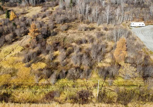 Terrain à vendre -  Ch. Paré, Val-d'Or, J9P0C2