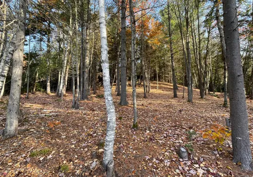 Terrain à vendre -  Ch. Bélisle, Morin-Heights, J0R1H0