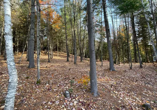 Terrain à vendre -  Ch. Bélisle, Morin-Heights, J0R 1H0