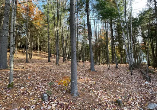 Terrain à vendre -  Ch. Bélisle, Morin-Heights, J0R 1H0