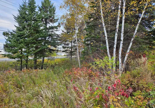 Land for sale -  Route 132 E., Grosses-Roches, G0J1K0