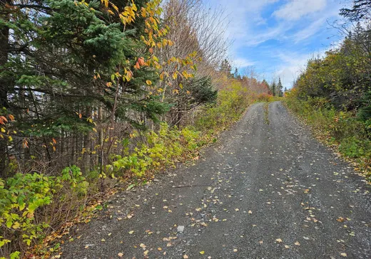 Terrain à vendre -  Route 132 E., Grosses-Roches, G0J 1K0