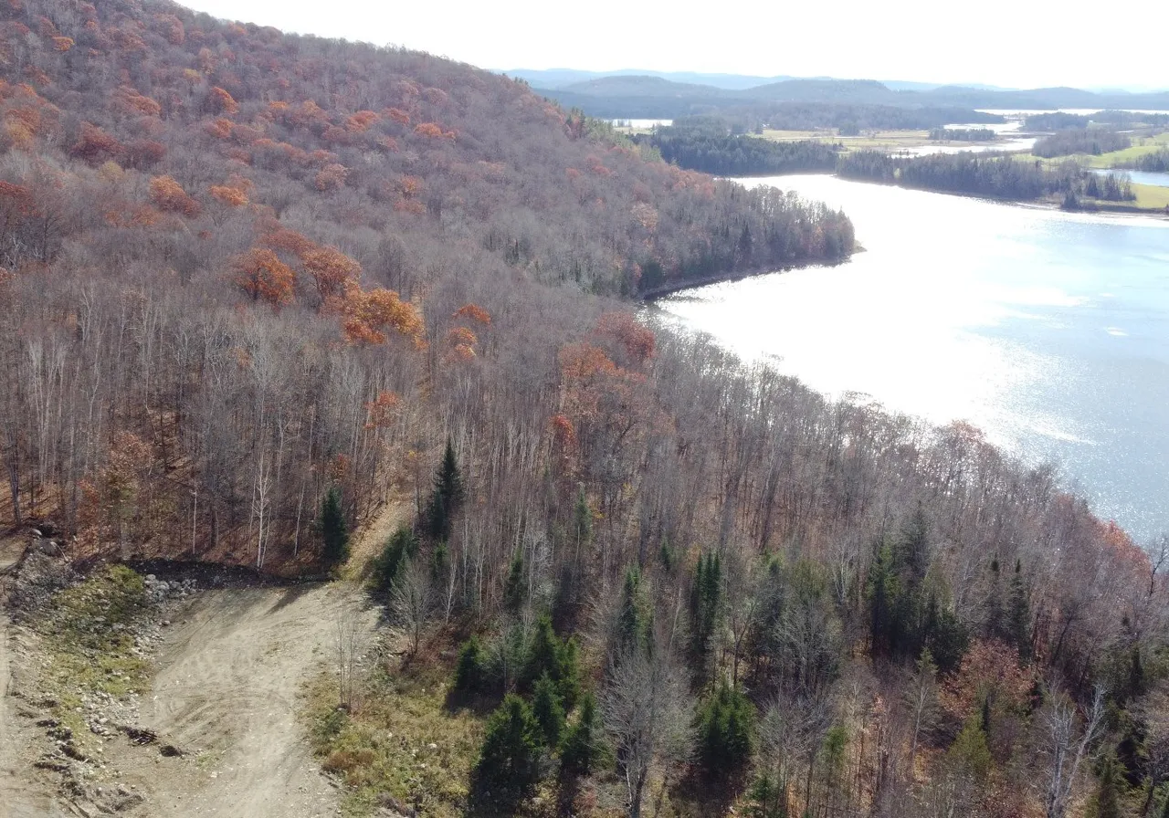 Terrain à vendre -  Ch. Germain, Mont-Laurier, J0W 1J0