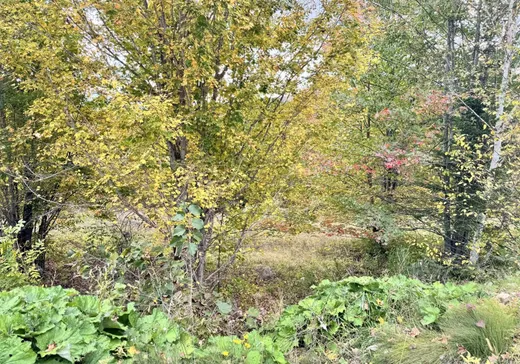 Land for Sale -  Ch. Germain, Mont-Laurier, J0W 1J0