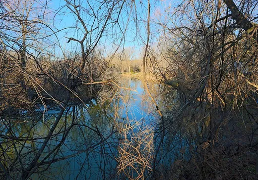 Terrain à vendre - 1174 Rue Principale, Rivière-Beaudette, J0P 1R0