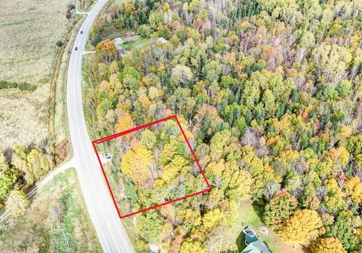 Terrain à vendre - Route du Lac Route du Lac-Rond N., Montcalm, J0T2V0