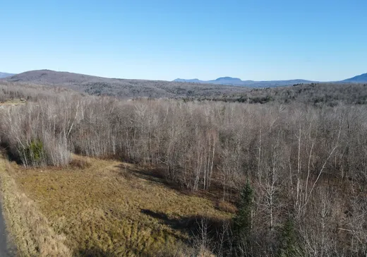 Land for sale -  Ch. Lafond, Mansonville, J0E1X0