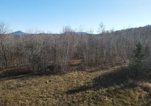 Terrain à vendre -  Ch. Lafond, Mansonville, J0E 1X0