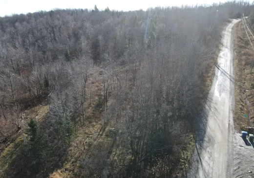 Terrain à vendre -  Ch. Lafond, Mansonville, J0E 1X0