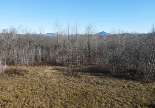 Land for Sale -  Ch. Lafond, Mansonville, J0E 1X0