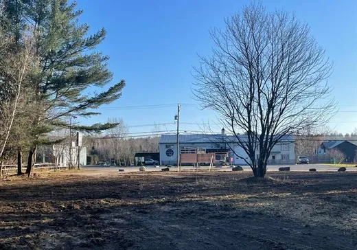 Terrain à vendre - 769 Ch. Lakeside, Lac-Brome, J0E1R0