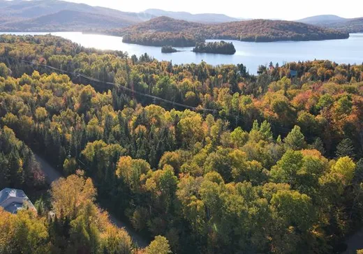 Terrain à vendre - 197 Route 329, St-Donat-De-Montcalm, J0T 2C0
