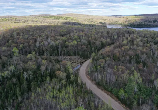 Terrain à vendre -  Ch. des Sternes, Nominingue, J0W1R0