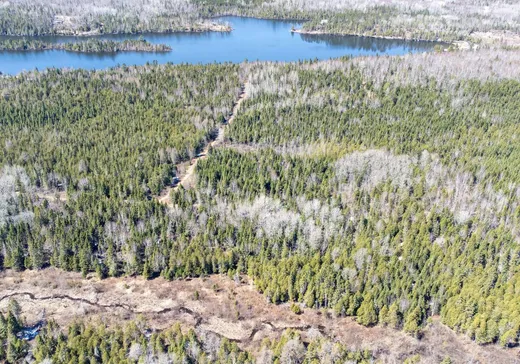 Terrain à vendre -  Ch. Duchénier, Rimouski, G0K1S0