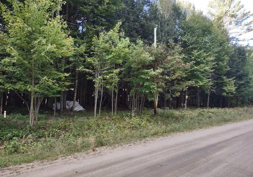 Terrain à vendre - 4 Ch. du Flood, Lac-du-Cerf, J0W1S1