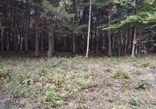 Terrain à vendre - 4 Ch. du Flood, Lac-du-Cerf, J0W 1S1