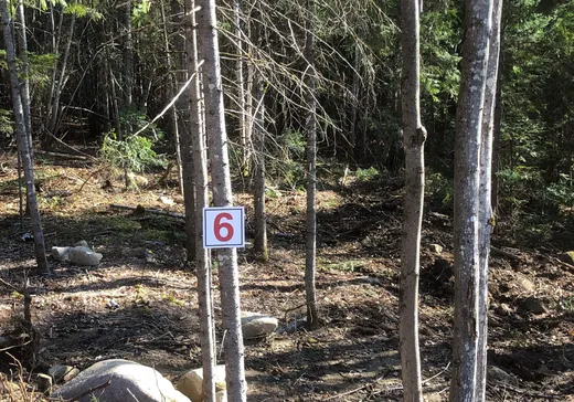 Terrain à vendre - Rue de la Co Rue de la Colonie, Sainte-Adèle, J8B3G3