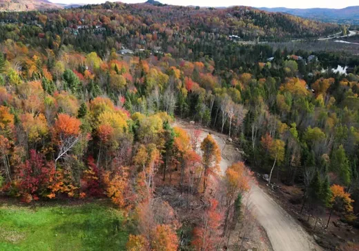 Terrain à vendre - Rue de la Co Rue de la Colonie, Sainte-Adèle, J8B3G3
