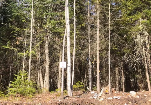 Land for Sale - Rue de la Co Rue de la Colonie, Sainte-Adèle, J8B 3G3