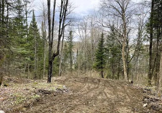 Land for Sale -  Ch. des Eaux, Maniwaki, J9E 3A9