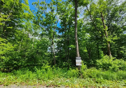 Terrain à vendre -  Ch. des Belvédères, Auclair, G0L1A0