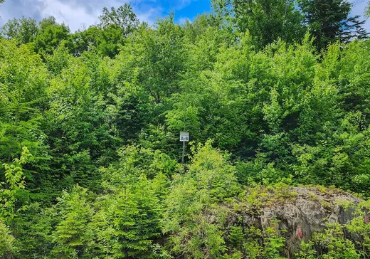 Land for Sale -  Ch. des Belvédères, Auclair, G0L 1A0