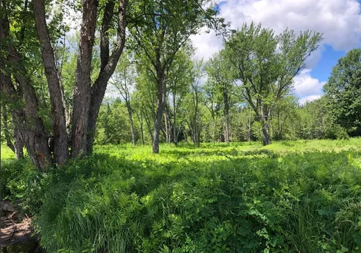 Terrain à vendre -  Rue de la Maison-de-Pierre, L'Ascension, J0T1W0