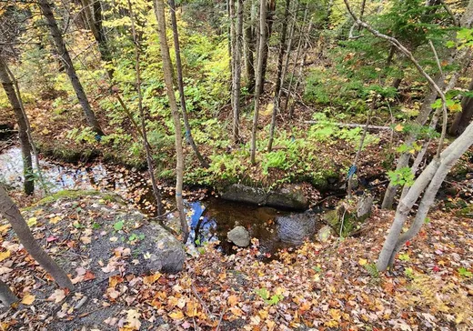 Terrain à vendre -  Mtée Gagnon, Sainte-Marguerite-du-Lac-Masson, J0T1L0