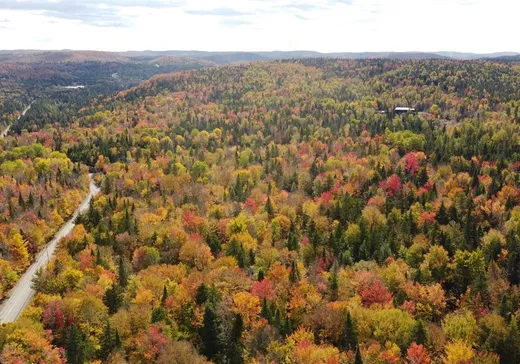 Terrain à vendre -  Mtée Gagnon, Sainte-Marguerite-du-Lac-Masson, J0T 1L0