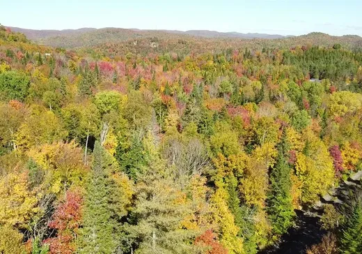 Terrain à vendre -  Mtée Gagnon, Sainte-Marguerite-du-Lac-Masson, J0T 1L0