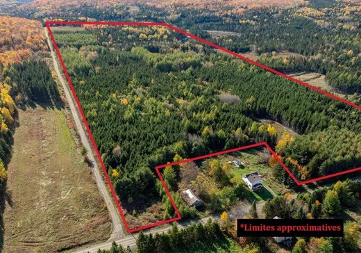 Terrain à vendre -  Ch. du Rang-St-Grégoire N., Auclair, G0L1A0