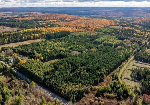 Terrain à vendre -  Ch. du Rang-St-Grégoire N., Auclair, G0L 1A0