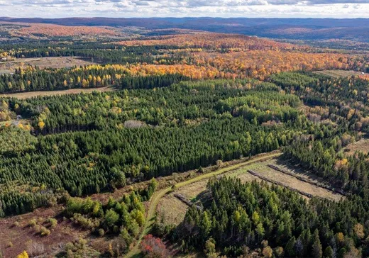 Terrain à vendre -  Ch. du Rang-St-Grégoire N., Auclair, G0L 1A0