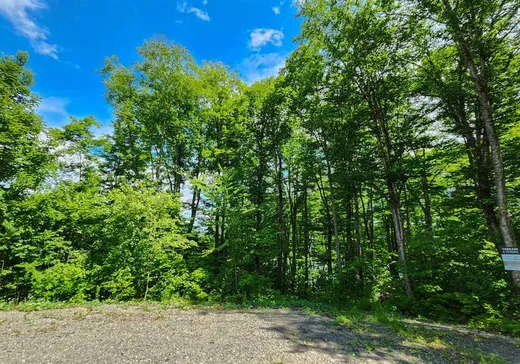 Terrain à vendre -  Ch. des Belvédères, Auclair, G0L1A0