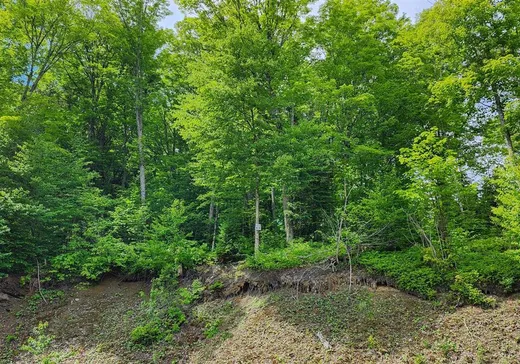 Land for Sale -  Ch. des Belvédères, Auclair, G0L 1A0