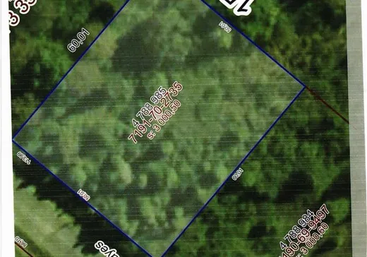 Terrain à vendre -  Rue des Cayes, Notre-Dame-du-Portage, G0L 1Y0